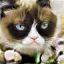 /src/assets/assgn5/l1_tests/1_stylegan_w+_0.2_10_1000.png