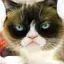 /src/assets/assgn5/l1_tests/1_stylegan_w+_0.2_1_1000.png