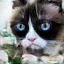 /src/assets/assgn5/l1_tests/2_stylegan_w+_0.2_0.6_1000.png