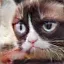 /src/assets/assgn5/l1_tests/2_stylegan_w+_0.2_1_1000.png