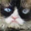 /src/assets/assgn5/model/2_vanilla_z_0.2_1000.png