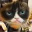 /src/assets/assgn5/l1_tests/3_stylegan_w+_0.2_0.2_1000.png