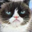 /src/assets/assgn5/l1_tests/3_stylegan_w+_0.2_0.4_1000.png