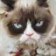 /src/assets/assgn5/l1_tests/3_stylegan_w+_0.2_0.8_1000.png
