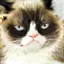 /src/assets/assgn5/l1_tests/3_stylegan_w+_0.2_0_1000.png