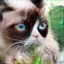 /src/assets/assgn5/l1_tests/3_stylegan_w+_0.2_1_1000.png