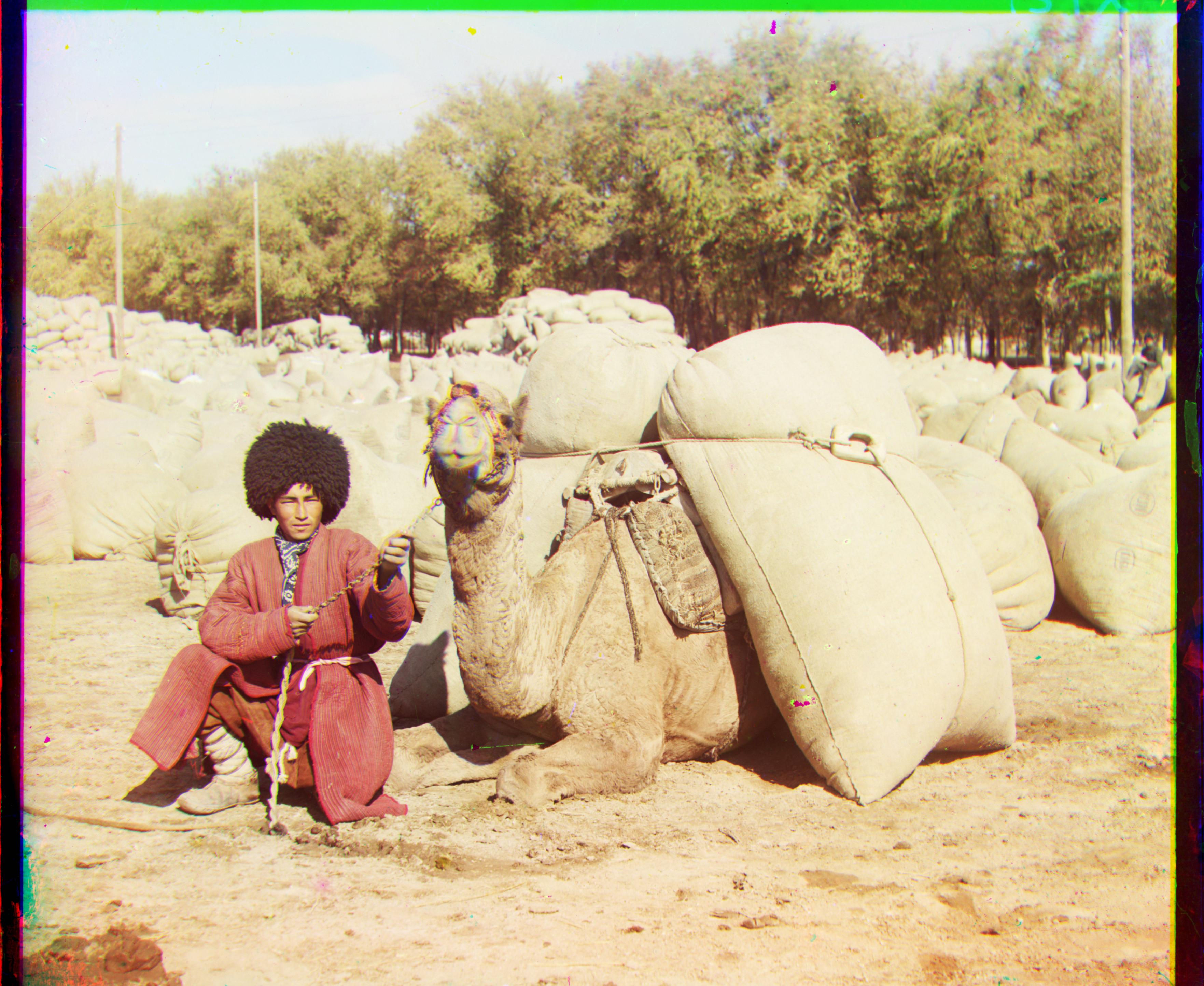 Turkmen