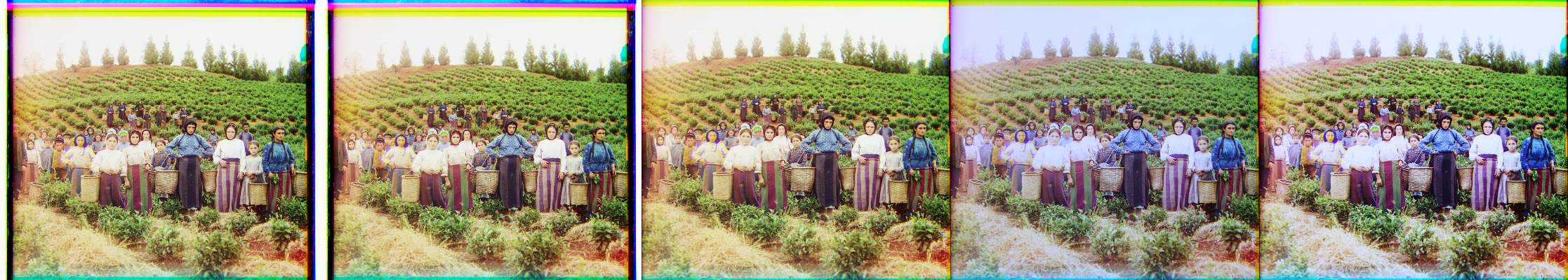 harvesters_concat