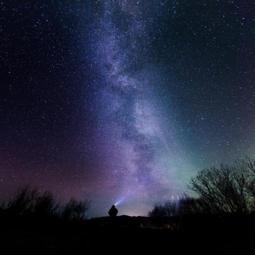 stars