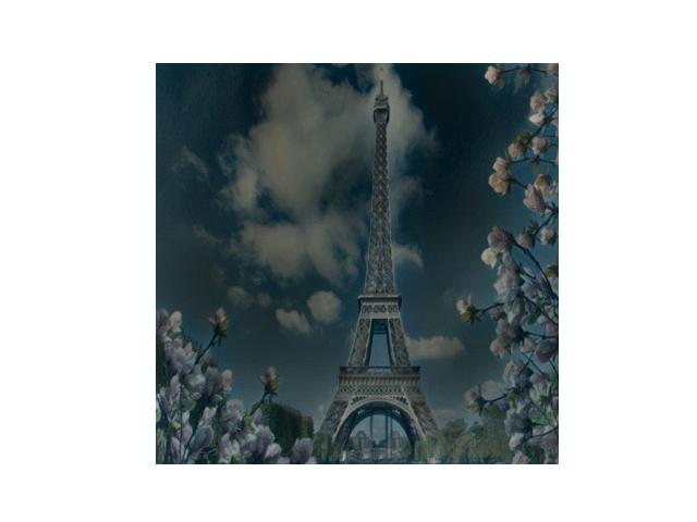 16726 Image