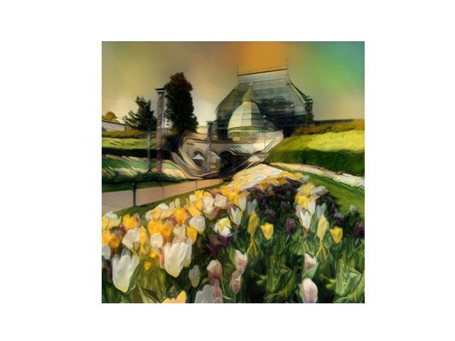 16726 Image