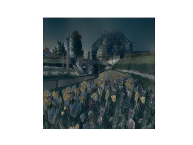 16726 Image