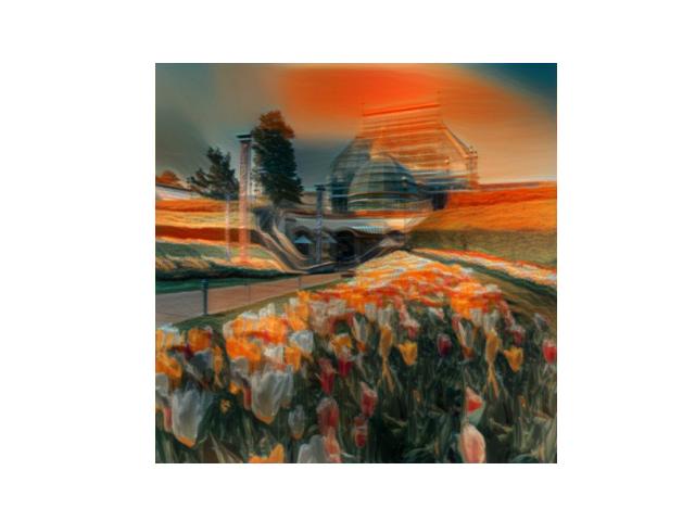 16726 Image