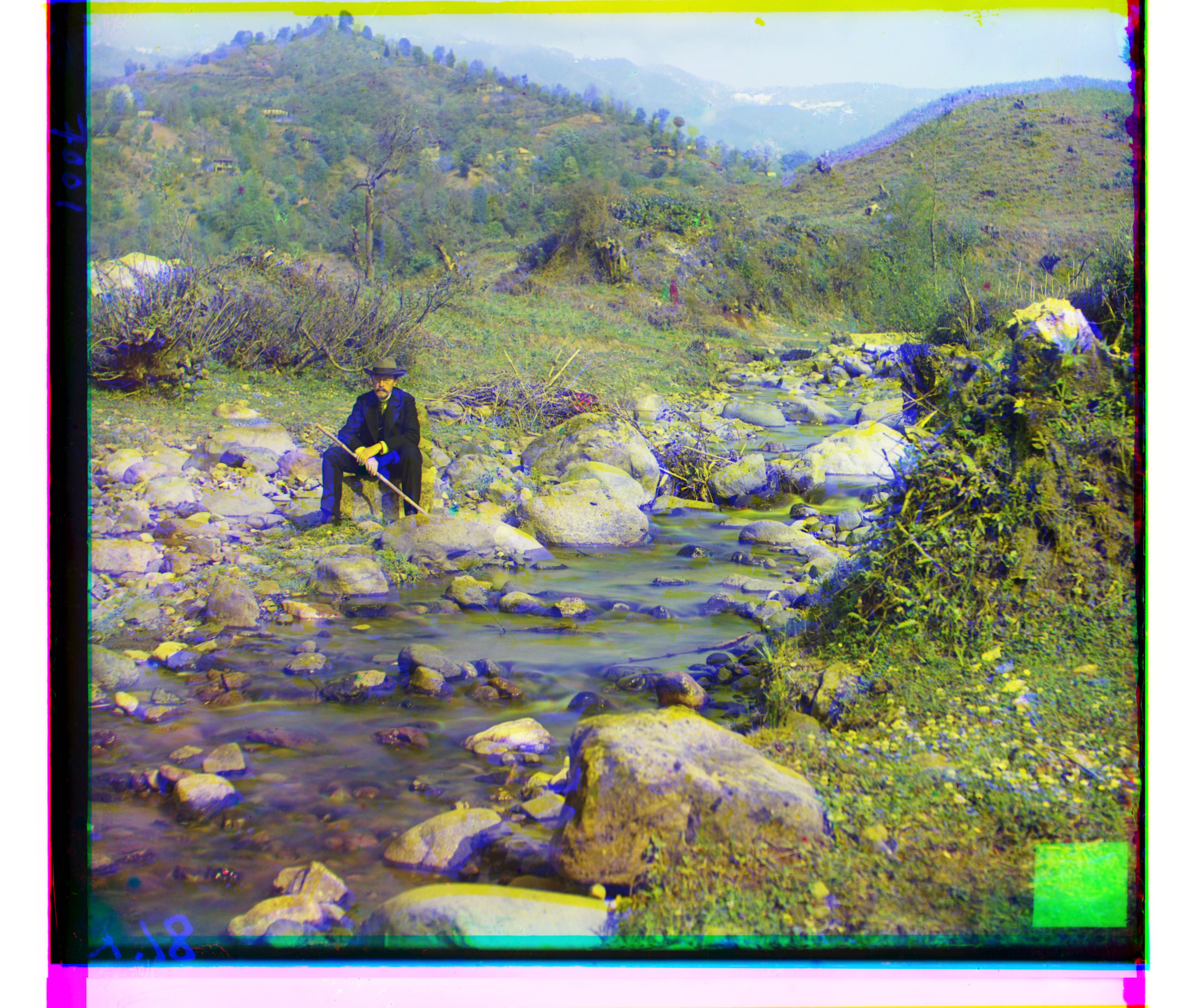 Sample Image