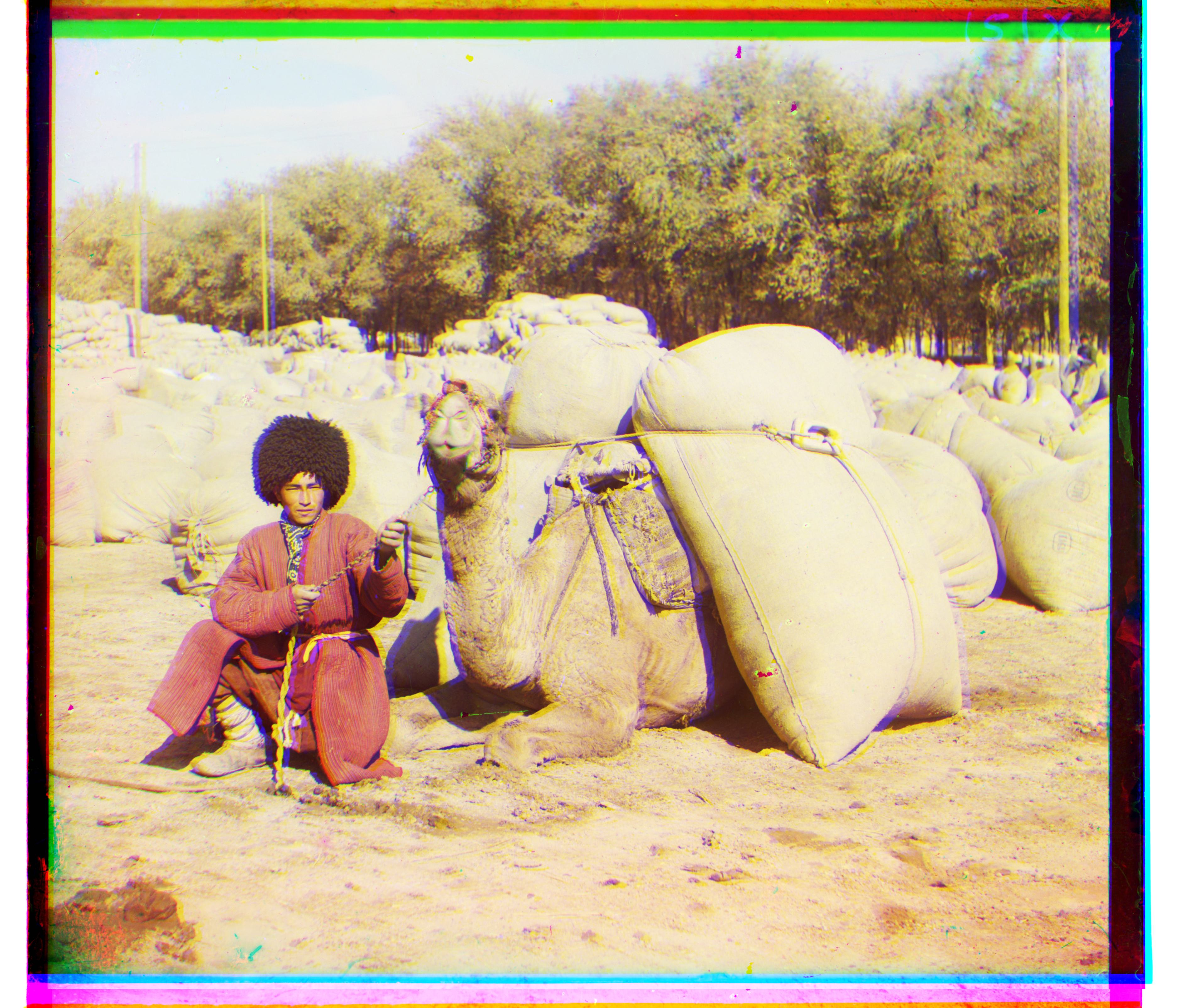 Sample Image