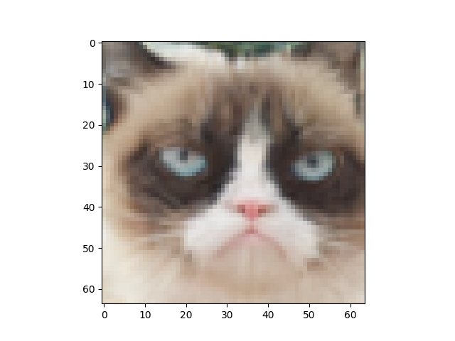 'image'