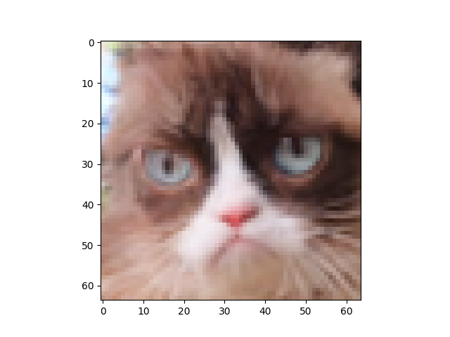'image'
