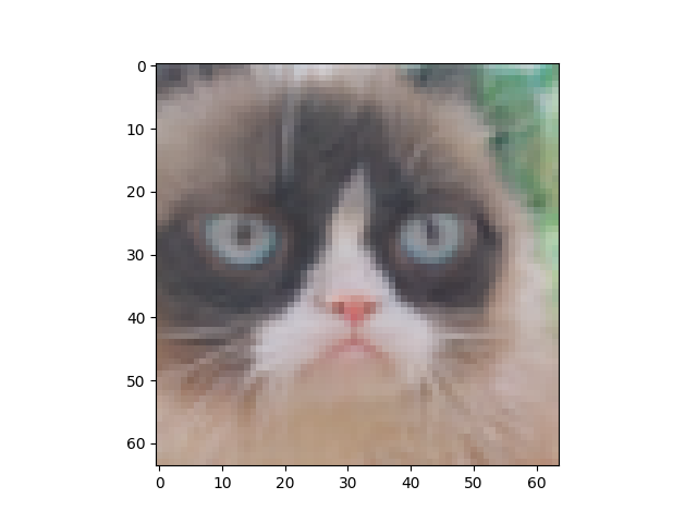 'image'