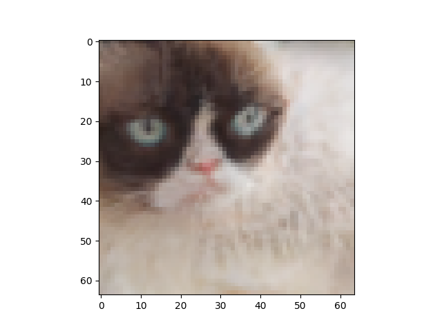 'image'