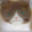 'image'