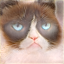 'image'