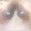 'image'