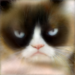 'image'