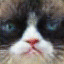 'image'