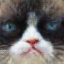 'image'