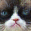 'image'