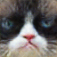 'image'