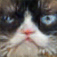 'image'