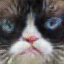'image'