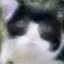 Interpolation 1
