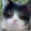 Perceptual 1.0, L1