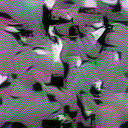 img styleL_lr001_conv12345_2