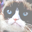 img part1_LBFGS_0_stylegan_w_0.1_995