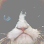 img part1_LBFGS_0_stylegan_w_0.1_2