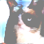 img part1_LBFGS_0_stylegan_w_0.1_4