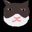 img coarse_data