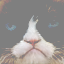 img styleL_lr001_conv3_1