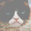 img coarse_stylegan