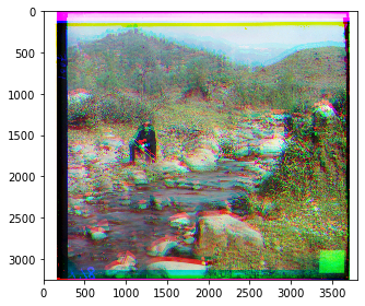 self_portrait.tif aligned image