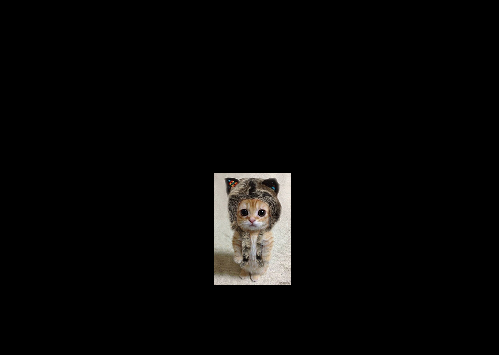 Aligned Image of Cat Wearing a Cap