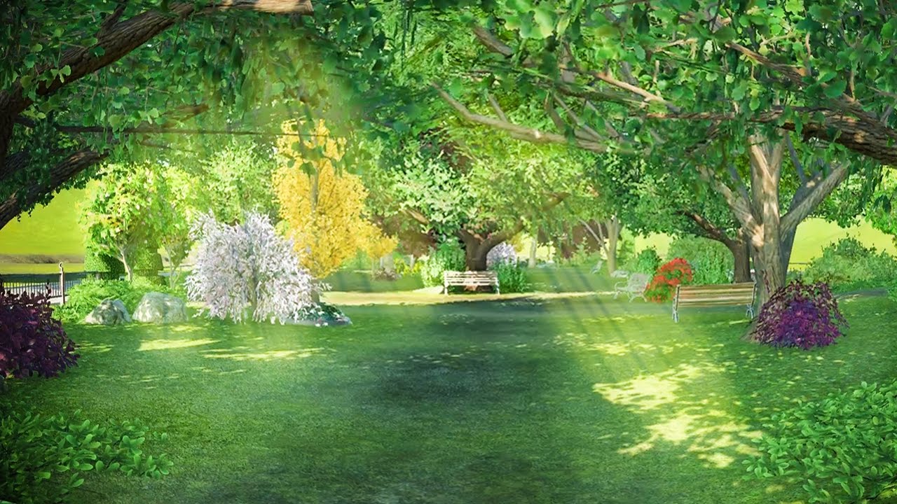 Image of a Park