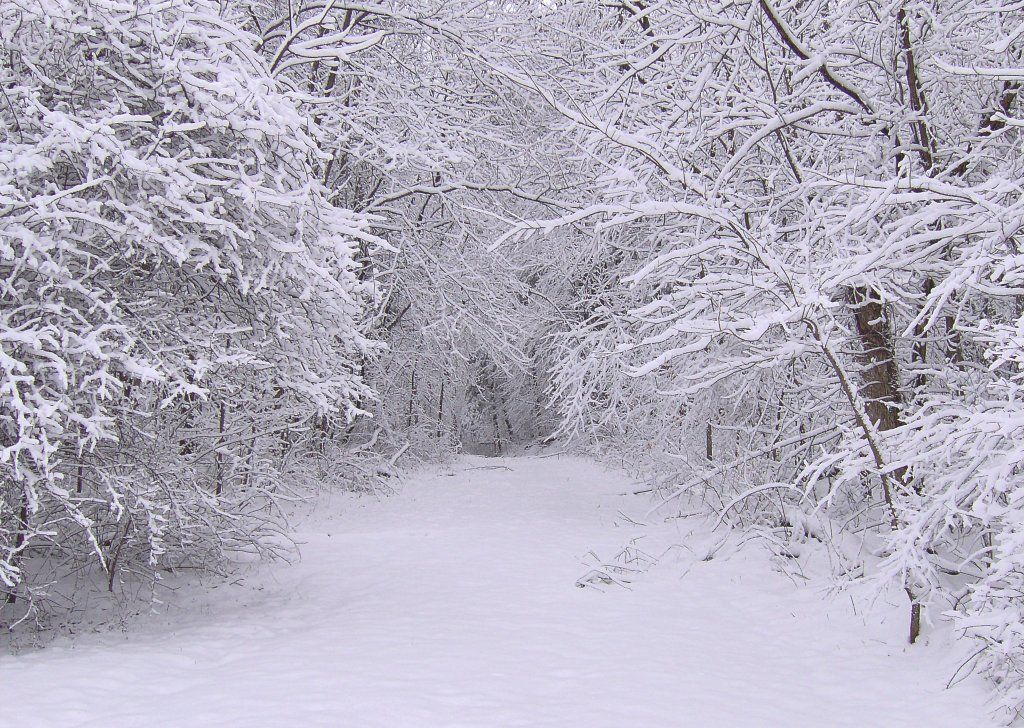 Image of Snowy Mountain