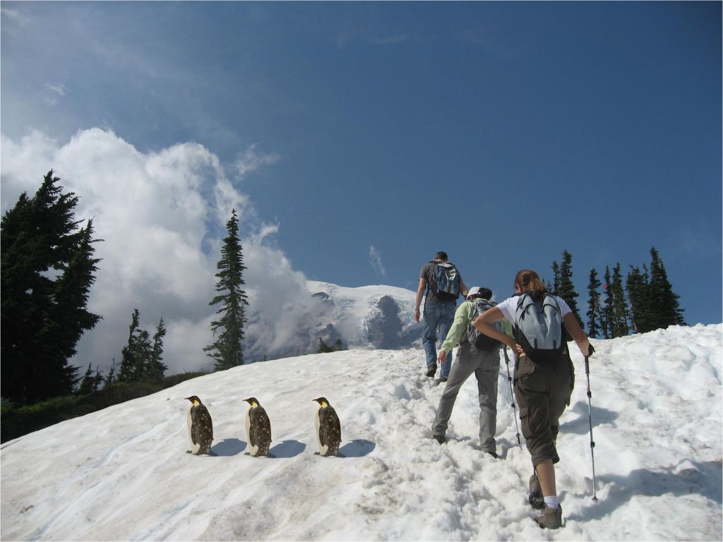 Snowy Mountain Image