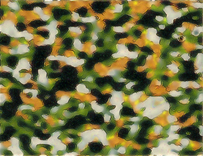 Layer 1 & 2 Texture Sythesis