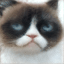 Interpolated Output