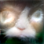Output Cat Sketch